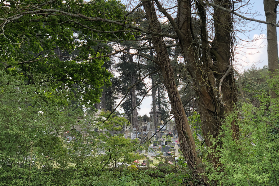 Une terrain vague abandonné