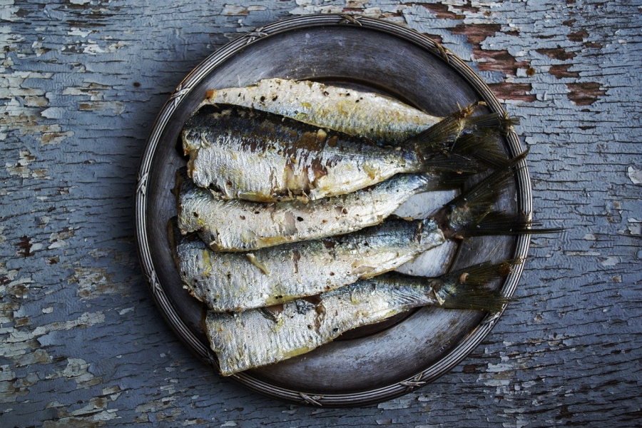 Toutes les recettes de la catégorie Poissons