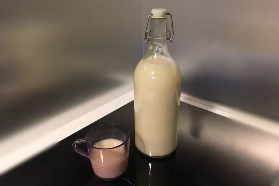 Lait de soja maison crémeux et rafraîchissant