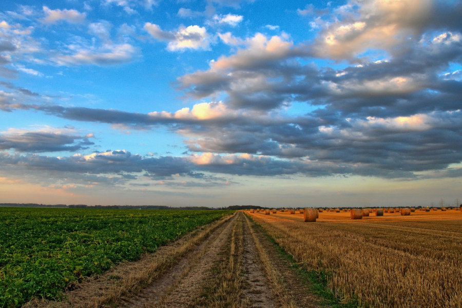 Lancement d'une concertation sur l'agriculture et l'alimentation durable dans la métropole