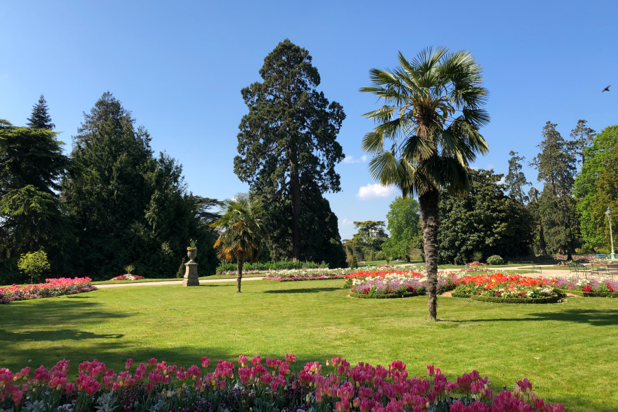 Le parc du Thabor à l'honneur dans le journal de TF1